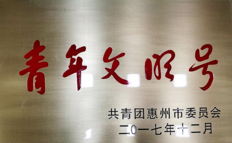 惠州市青年文明号
